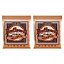 Ernie Ball 2144 Earthwood Phosphor Bronze Medium Acoustic Guitar Strings 2-Pack