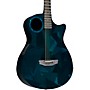 Rainsong 25 Year Anniversary Special