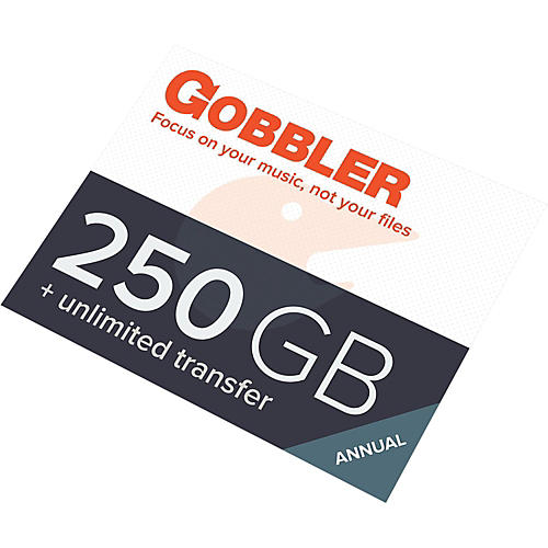 250GB Annual Plan Software Download