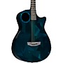 RainSong 25YR Anniversary Special Acoustic-Electric Guitar