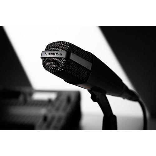 Sennheiser MD 421-II Large-Diaphragm Dynamic Microphone | Musician's Friend