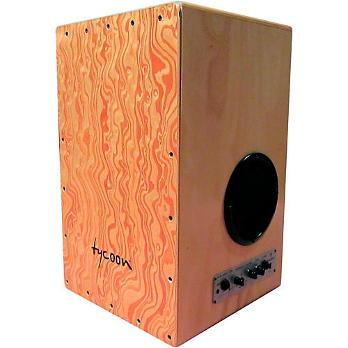 29 Series Gig Box Amplifier Cajon