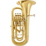 Willson 2950TA Large Shank Series Compensating Euphonium Lacquer