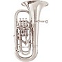 Willson 2960TA-UK Celebration Medium Shank Series Compensating Euphonium Silver plated