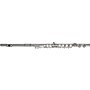 Gemeinhardt 2SP Series Student Flute 2SP - Standard