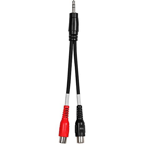 3.5mm(TRS)-RCA(F) Y Cable