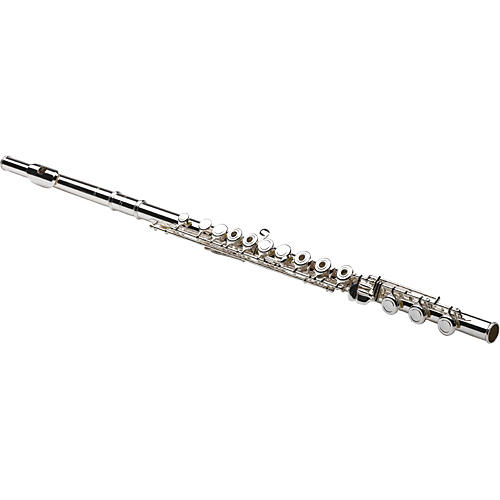 3000 Series Professional Flute