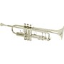 B&S 3137 Challenger II Series Bb Trumpet Silver plated