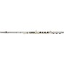 Gemeinhardt 3SB NG New Generation Flute Offset Body