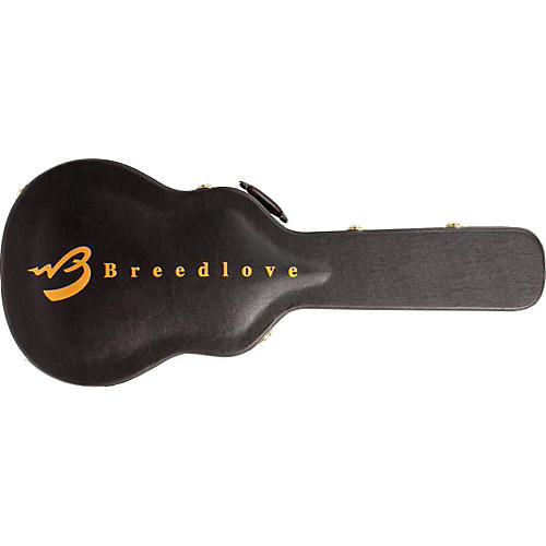 breedlove d20 sr