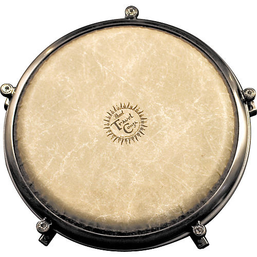 Pearl Travel Conga 2個セット Pearl Travel Congas Set of 2 Plus Stands | Reverb