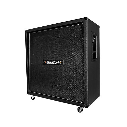 4x12 Guitar Speaker Cabinet