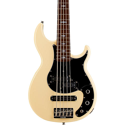 5-String Electric Bass Guitar With Pickguard