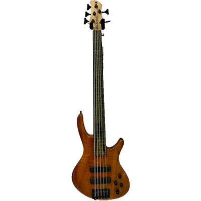 Roscoe 5 String Fretless Electric Bass Guitar