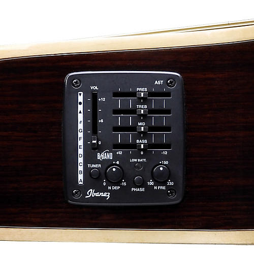 Ibanez ACS1150ECENT Artwood Series Grand Concert Cutaway