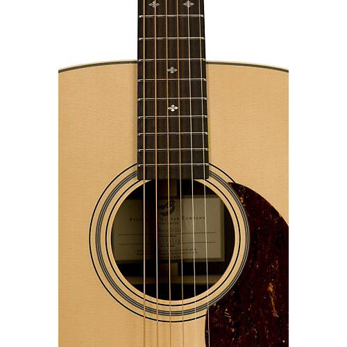 breedlove retro series