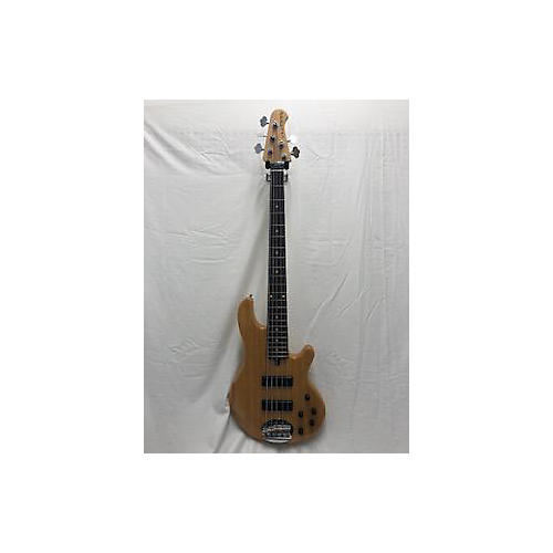 55-01 Skyline Series 5 String Electric Bass Guitar