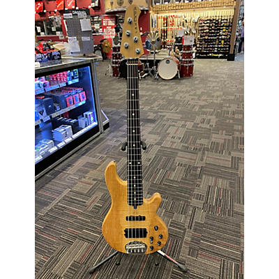 Lakland 5502 Deluxe Electric Bass Guitar