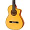 55FCE Thinbody Acoustic-Electric Nylon String Flamenco Guitar Level 1
