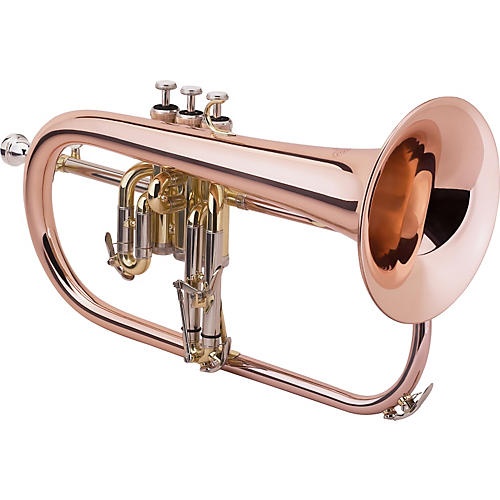 SALE BRAND NEW BRASS Bb FLUGEL HORN+FREE CASE+MOUTHIPICE+FAST SHIPPING