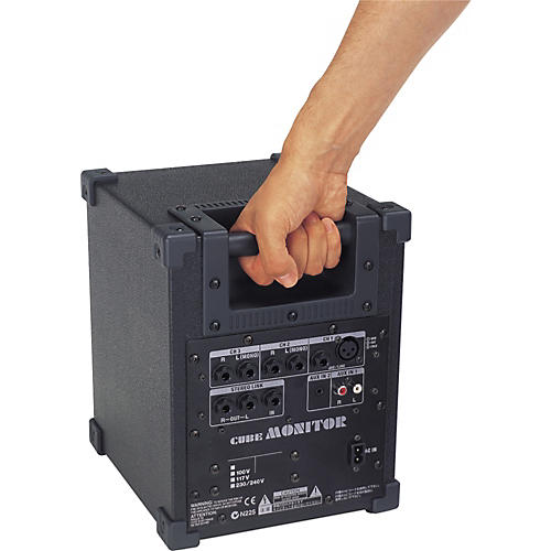 Roland CM-30 Cube Monitor | Musician's Friend