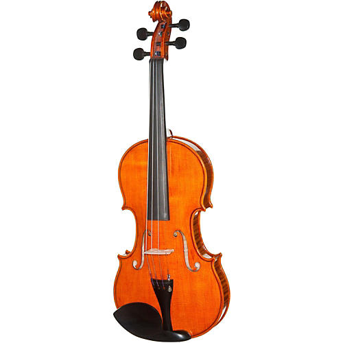 6106A Series 4/4 Violin Outfit