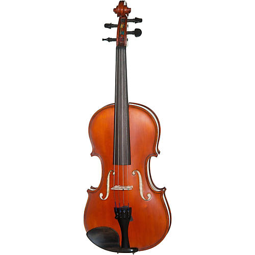 6109A Series 4/4 Violin Outfit