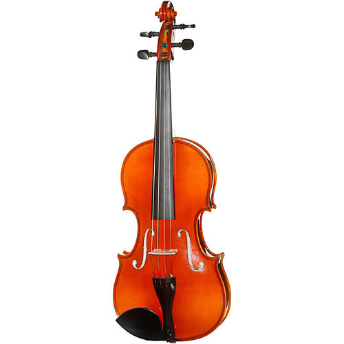 6120A Series 4/4 Violin Outfit