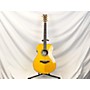 Used Taylor 614CE Acoustic Electric Guitar Maple