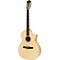 614ce-N Maple/Spruce Nylon String Grand Auditorium Acoustic-Electric Guitar Level 2 Natural 888365330129