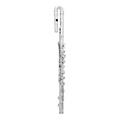 Altus 800 Series Handmade Alto Flute Both Curved and Straight HeadjointsCurved Headjoint