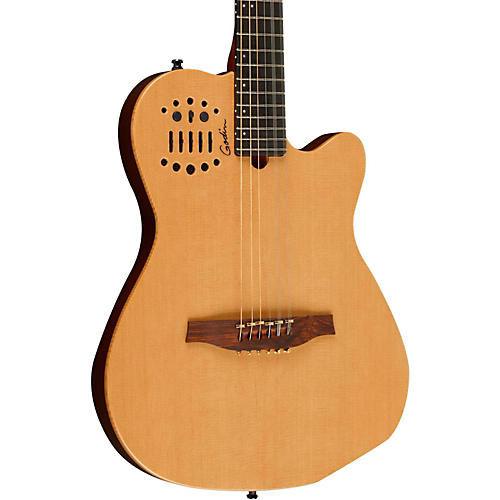 A10 10-String Acoustic-Electric Guitar