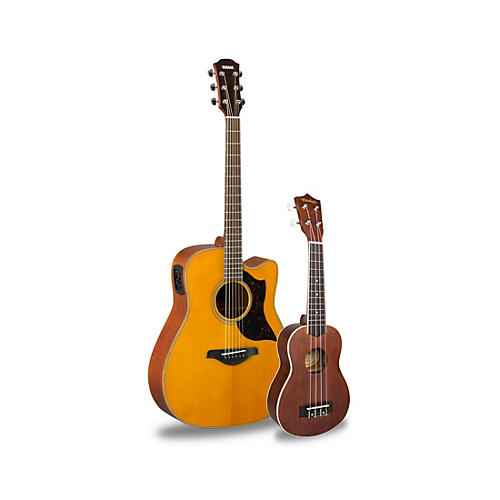 A1M Acoustic-Electric Guitar and Ukulele Package