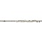 AAFL-229 Student Series Flute Model Level 2  888365252896