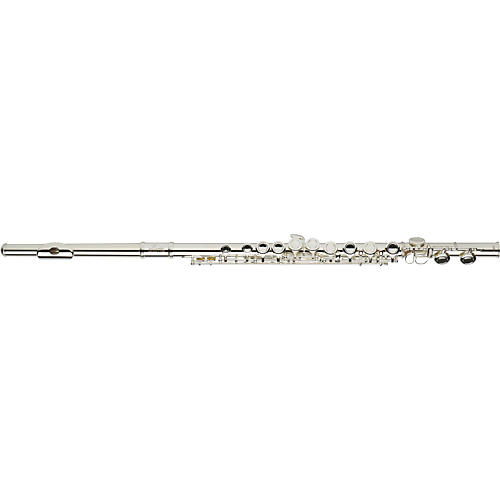 AAFL-229 Student Series Flute Model