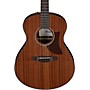 Ibanez AAM54 Advanced Auditorium Acoustic Guitar Natural