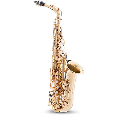 Allora AAS-250 Student Series Alto Saxophone Condition 2 - Blemished Lacquer 197881122621