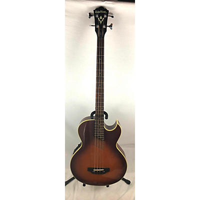 Washburn AB-20 Acoustic Bass Guitar