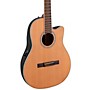 Applause AB24CC-4S Traditional Series Mid-Depth Cedar Nylon-String Classical Acoustic-Electric Guitar Natural