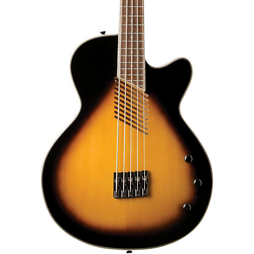 washburn hollow body bass