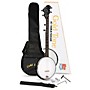 Open-Box Gold Tone AC-1 Banjo Package Condition 2 - Blemished Black 197881432317