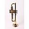 ACEV4B-2-0 Evolution IV Bb Trumpet Level 3 Lacquer 888365154756