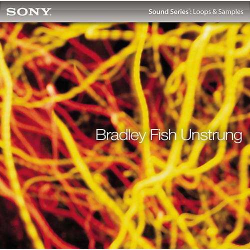 ACID Loops - Bradley Fish: Unstrung