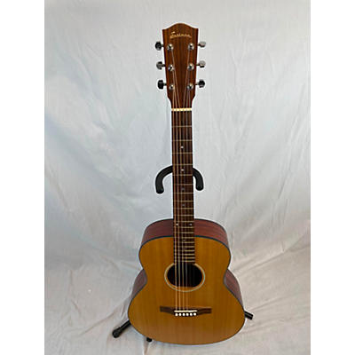 Eastman ACTG1 Acoustic Guitar