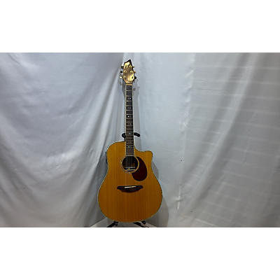 Breedlove AD25/SR PLUS Acoustic Electric Guitar
