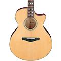 Ibanez AE170 Grand Auditorium Acoustic-Electric Guitar - Transparent BlackNatural