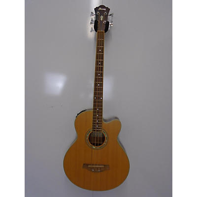 Ibanez AEB10-LG-14-03 Acoustic Bass Guitar