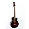 AEB10E Acoustic-Electric Bass Guitar with Onboard Tuner Level 3 Dark Violin Sunburst 888365372310