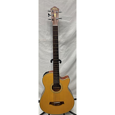 Ibanez AEB305 Acoustic Bass Guitar