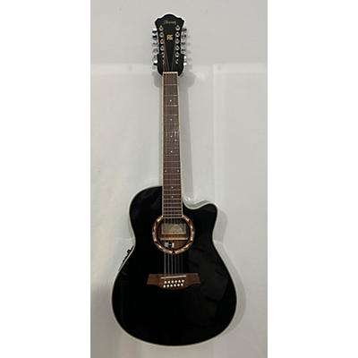 Ibanez AEF1812E 12 String Acoustic Electric Guitar
